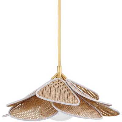 Hudson Valley - Florina 1-Light Pendant - 3128-AGB