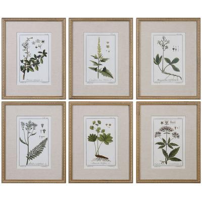 Uttermost - Green Floral Botanical Study Prints - Set of 6 - 33651