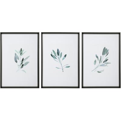 Uttermost - Simple Sage Watercolor Framed Prints - Set of 3 - 33723
