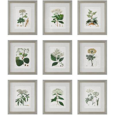 Uttermost - Set of 9 Antique Botanicals Framed Prints - 41466