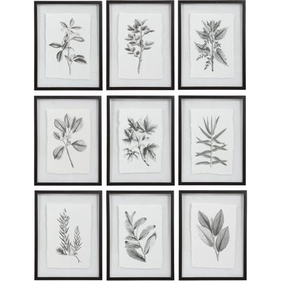 Uttermost - Farmhouse Florals Framed Prints - Set of 9 - 41617