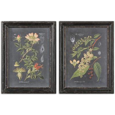Uttermost - Midnight Botanicals Wall Art - Set of 2 - 56053