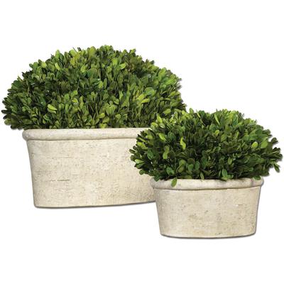 Uttermost - Oval Domes Preserved Boxwood - Set of 2 - 60107