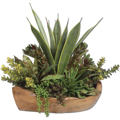 Uttermost - Salar Succulents In Teak Bowl - 60119