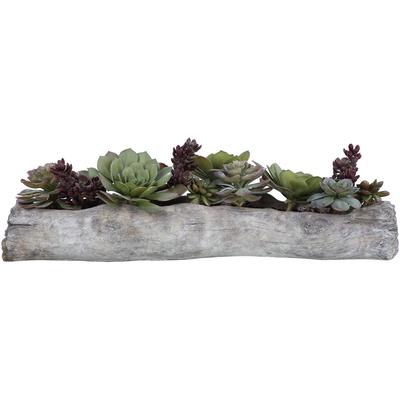 Uttermost - Charita Lush Succulents - 60174