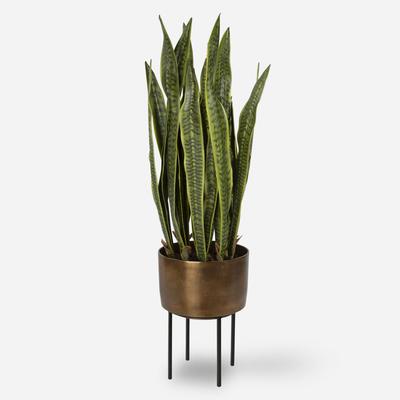 Uttermost - Fasita Planter - 60185