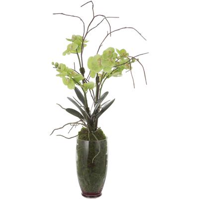 Uttermost - Valdive Orchid - 60199