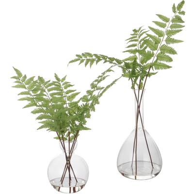 Uttermost - Set of 2 Country Ferns - 60202