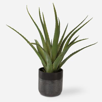 Uttermost - Tucson Aloe Planter - 60204