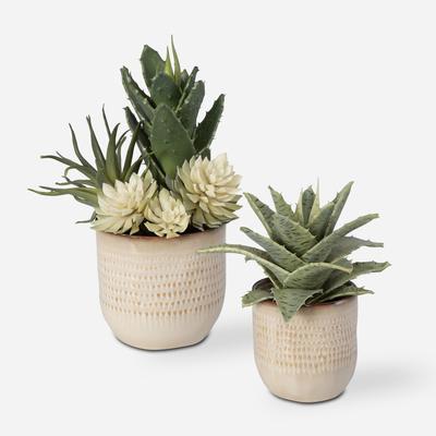 succulents usa Uttermost Seaside Succulents Set/2