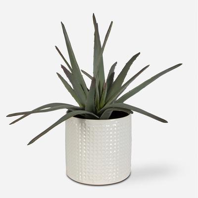 Uttermost - Taos Aloe Centerpiece - 60210