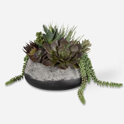 Uttermost - Yuma Succulent Centerpiece - Dark Iron - 60214