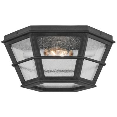 Troy Lighting - Lake County 2-Light Flush Mount - C2514-FRN