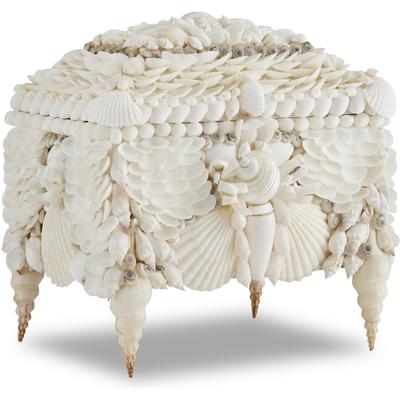 Currey & Co. - Boardwalk White Shell Jewelry Box - 1200-0612