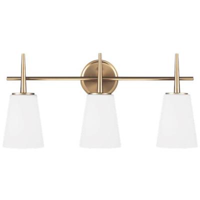 Generation Lighting - Driscoll 3-Light Wall/Bath Fixture - 4440403EN3-848