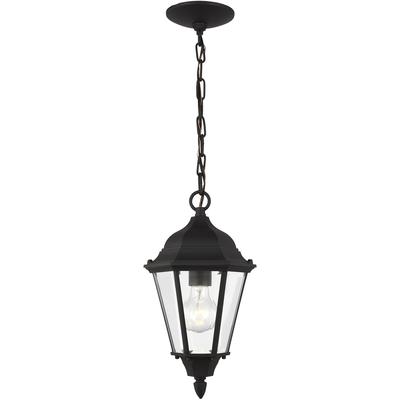 Generation Lighting - Bakersville 1-Light Outdoor Pendant - 60941-12