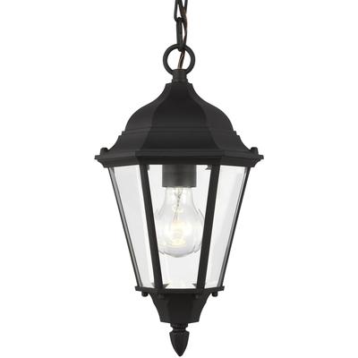 Generation Lighting - Bakersville 1-Light Outdoor Pendant - 60941-12