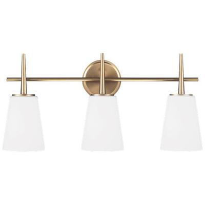 Generation Lighting - Driscoll 3-Light Wall/Bath Fixture - 4440403EN3-848