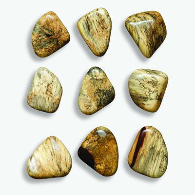 Uttermost - Set of 9 Pebbles Wood Wall D√É¬©cor - Blonde - 4324
