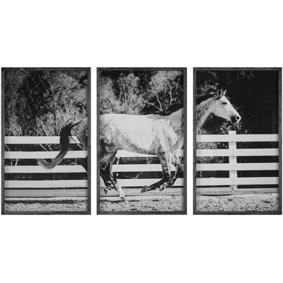 Uttermost - Set of 3 Galloping Forward Equine Prints - 32279
