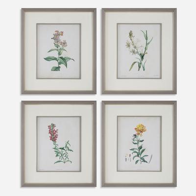 Uttermost - Set of 4 Heirloom Blooms Study Framed Prints - 32285