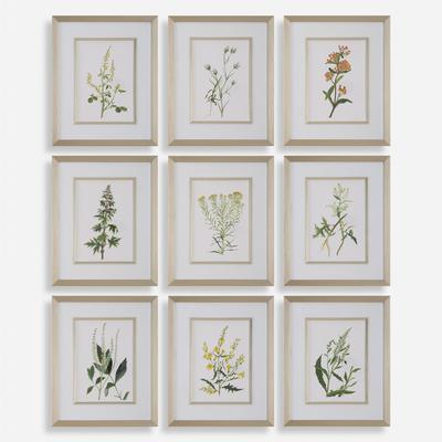 Uttermost - Set of 9 Botanical Flowers Framed Prints - 32339