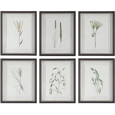 Uttermost - Set of 6 Forest Finds Framed Prints - 41459