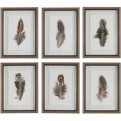 Uttermost - Set of 6 Birds of a Feather Framed Prints - 41460