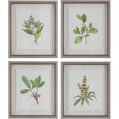 Uttermost - Set of 4 Wildflower Study Framed Prints - 41461