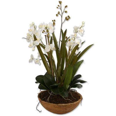 Uttermost - Moth Orchid Planter - 60039