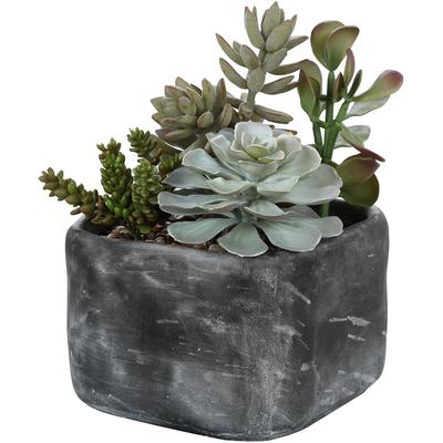 Uttermost - Alverio Desert Garden Succulents - 60173