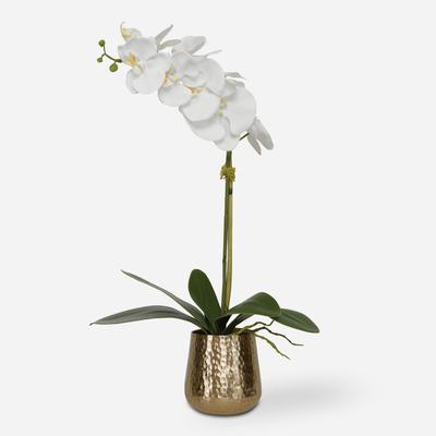 Uttermost - Cami Orchid with Brass Pot - 60189
