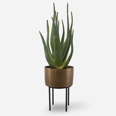 Uttermost - Arabia Aloe Planter - 60217