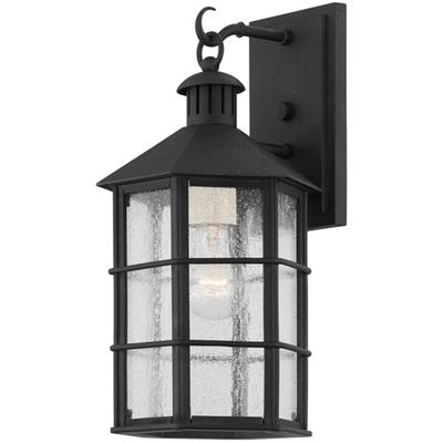 Troy Lighting - Lake County 1-Light Small Exterior Wall Sconce - B2511-FRN