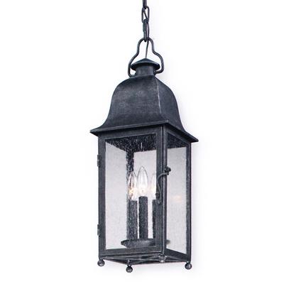 Troy Lighting - Larchmont 3-Light Medium Outdoor Hanging Lantern - F3217-VBZ