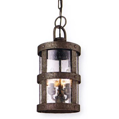 Troy Lighting - Barbosa 3-Light Medium Outdoor Hanger Lantern - F3317-APW