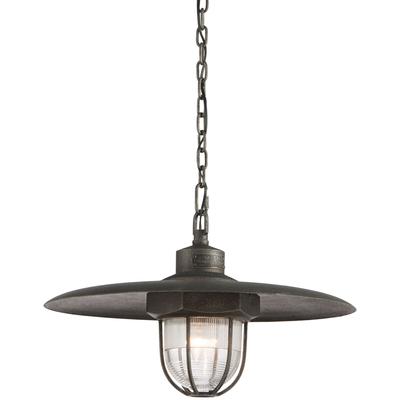 Troy Lighting - Acme 1-Light Medium Pendant - F3897-APW