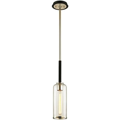 Troy Lighting - Aeon 1-Light Mini Pendant - F6273-TBK/PN
